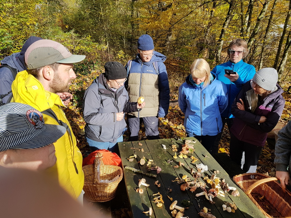 Foto